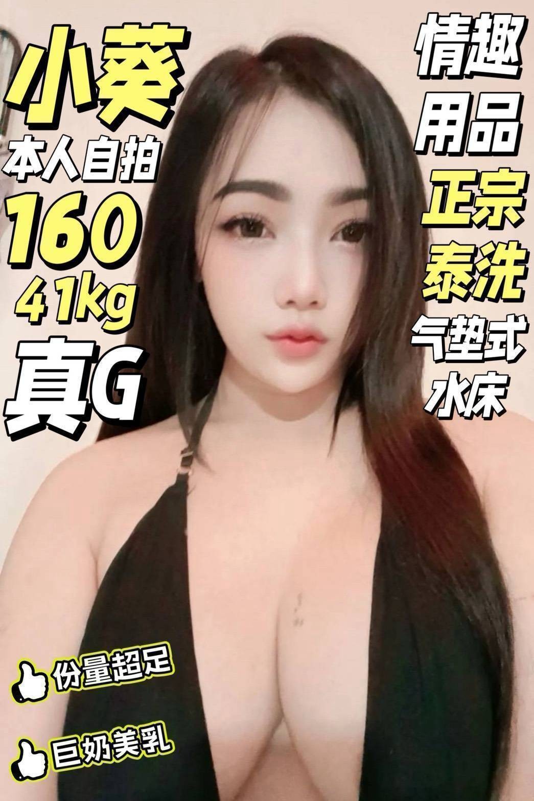 台南北區定點 馬來 台南北區定點 馬來